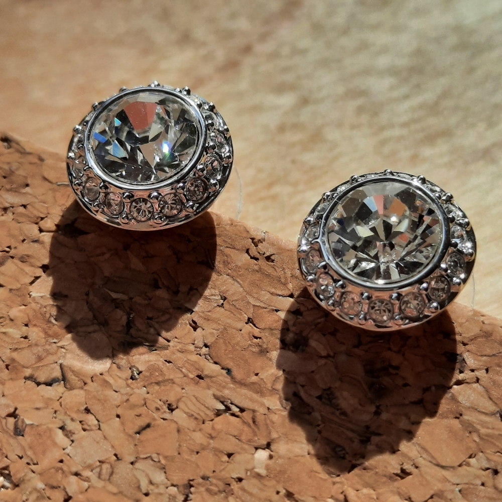 Enchantint silver earrings